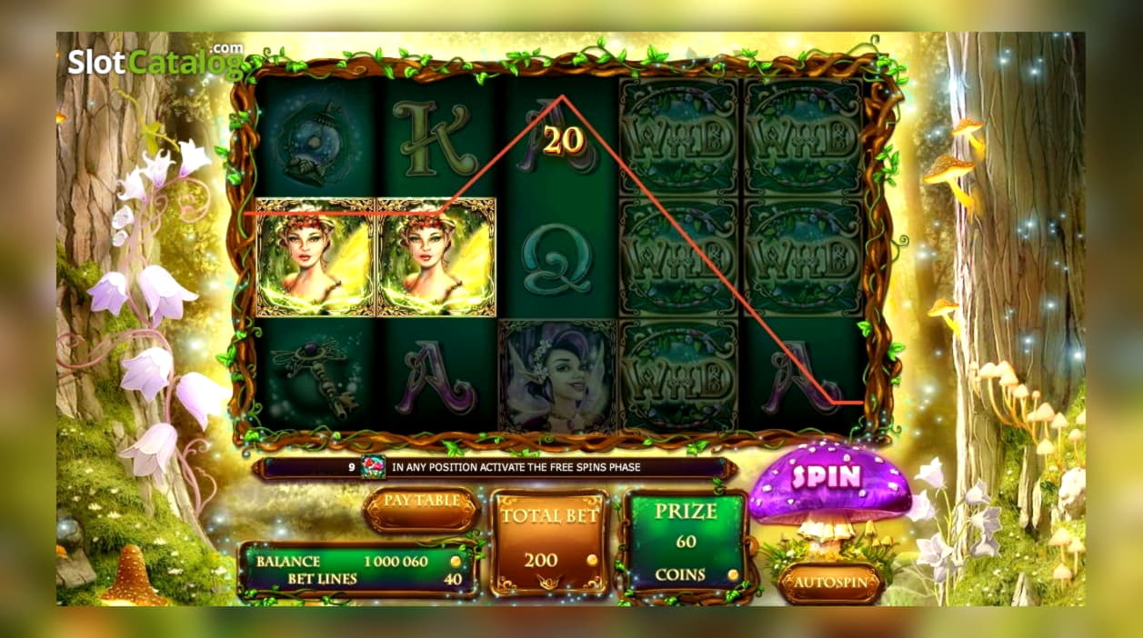 EUR 665 Daily freeroll slot tournament at Dunder Casino