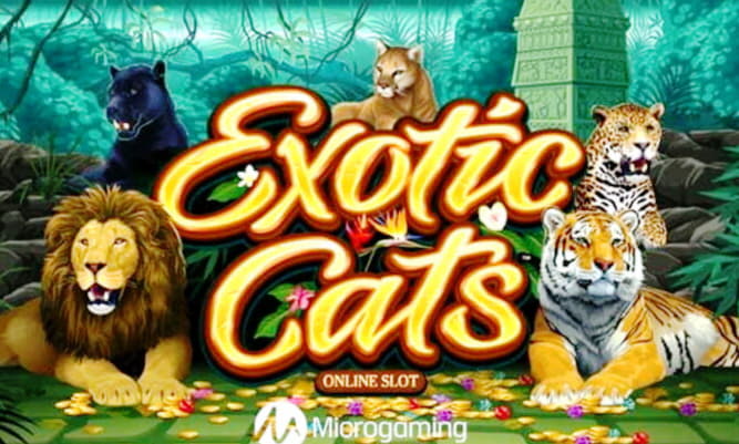 $4825 No Deposit at Betway Casino