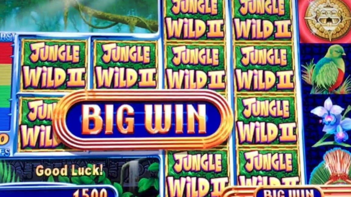 295% No Rules Bonus! at Hippozino Casino