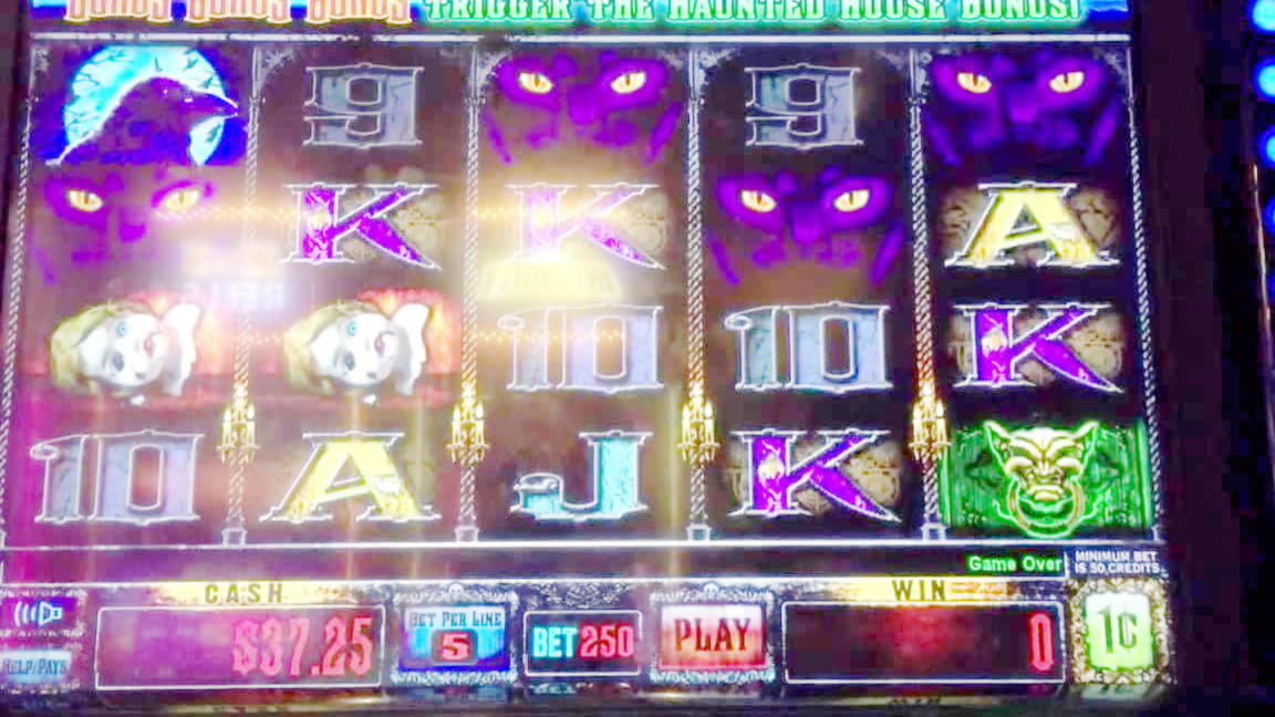 ﻿$495 Daily freeroll slot tournament at Eurogrand Casino