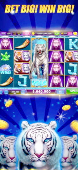 $4005 no deposit at Inter Casino