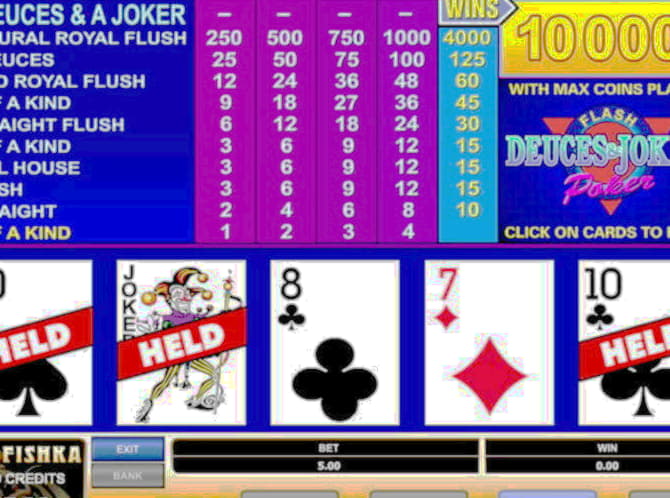 $635 Daily freeroll slot tournament at Hippozino Casino