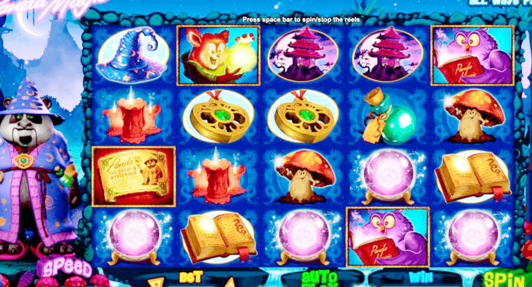 €265 Daily freeroll slot tournament at Licensed Casino 
