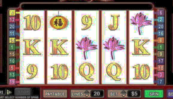 55 Loyal Free Spins! at Rizk Casino