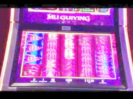 255 Free Spins right now at Dunder Casino