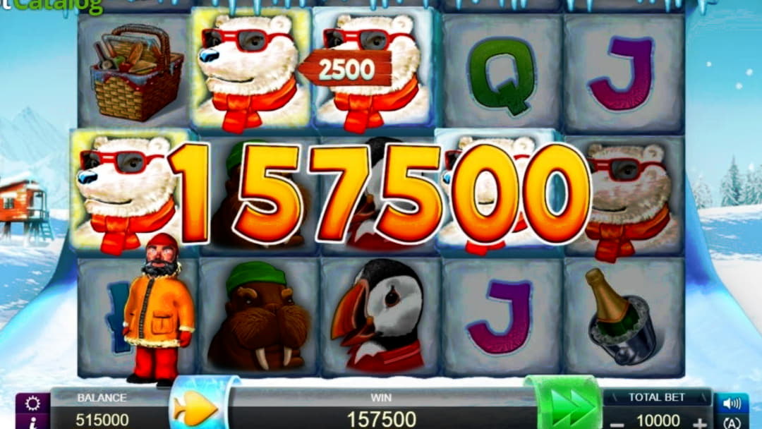 €230 Daily freeroll slot tournament at Casino com