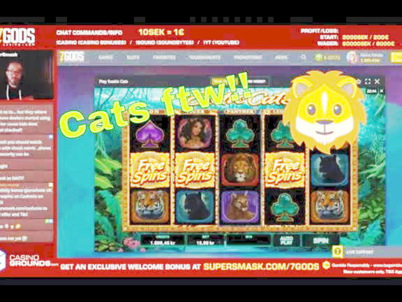 295 Loyal Free Spins! at Betnspin Casino