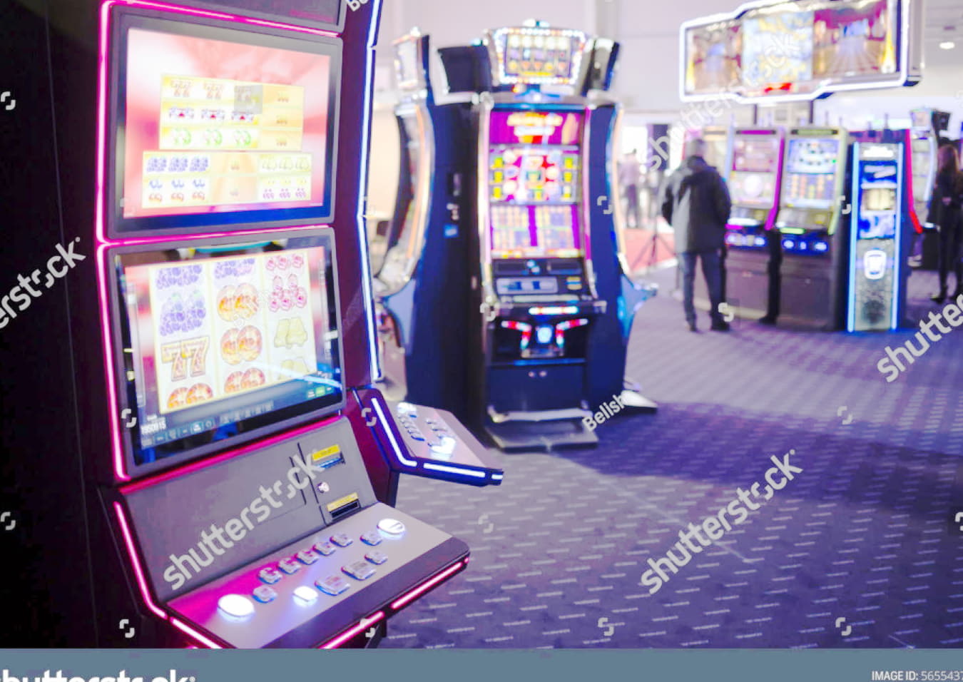 265 Loyal Free Spins! at Hippozino Casino