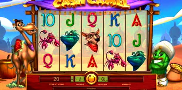 $420 Casino tournaments freeroll at Casino Cruise
