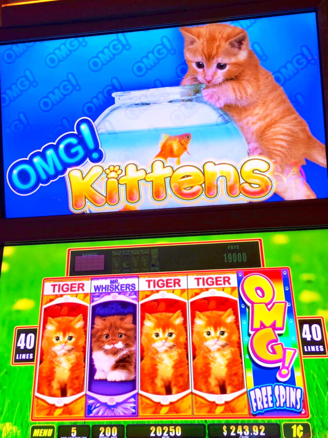 180 Free Spins at Casino com