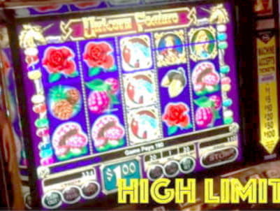 €285 Free Chip at Alf Casino