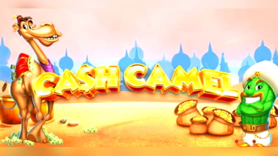 135 Free spins casino at 7 Reels Casino