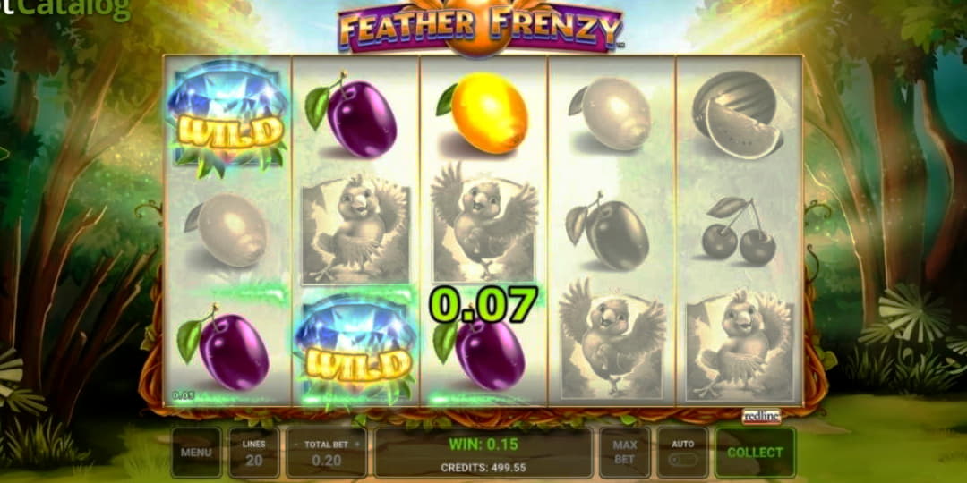 ﻿$20 Tournament at Casino Cruise