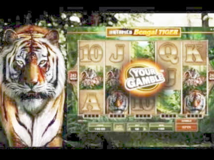 95% Match at a casino at Vera and Jhon Casino