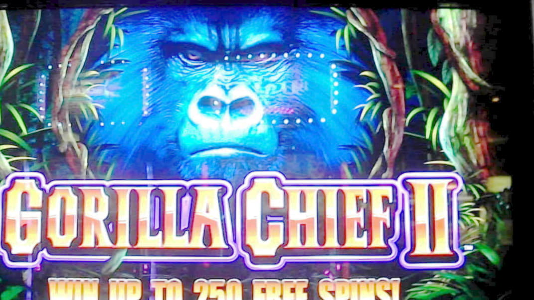 440% Casino match bonus at Leo Dubai Casino
