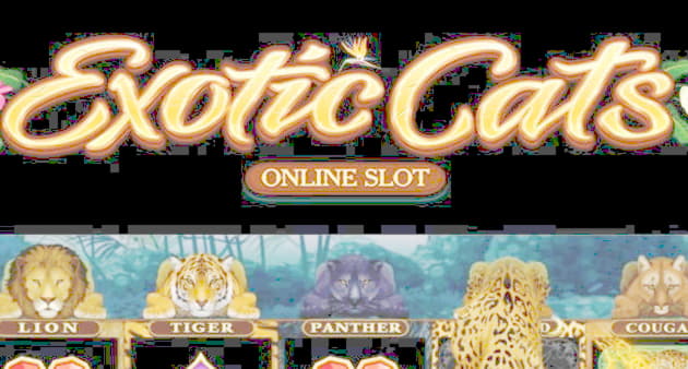 EURO 325 free chip casino at bWin Casino