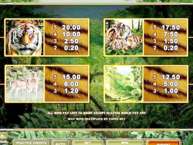 €110 No Deposit Bonus at Hippozino Casino