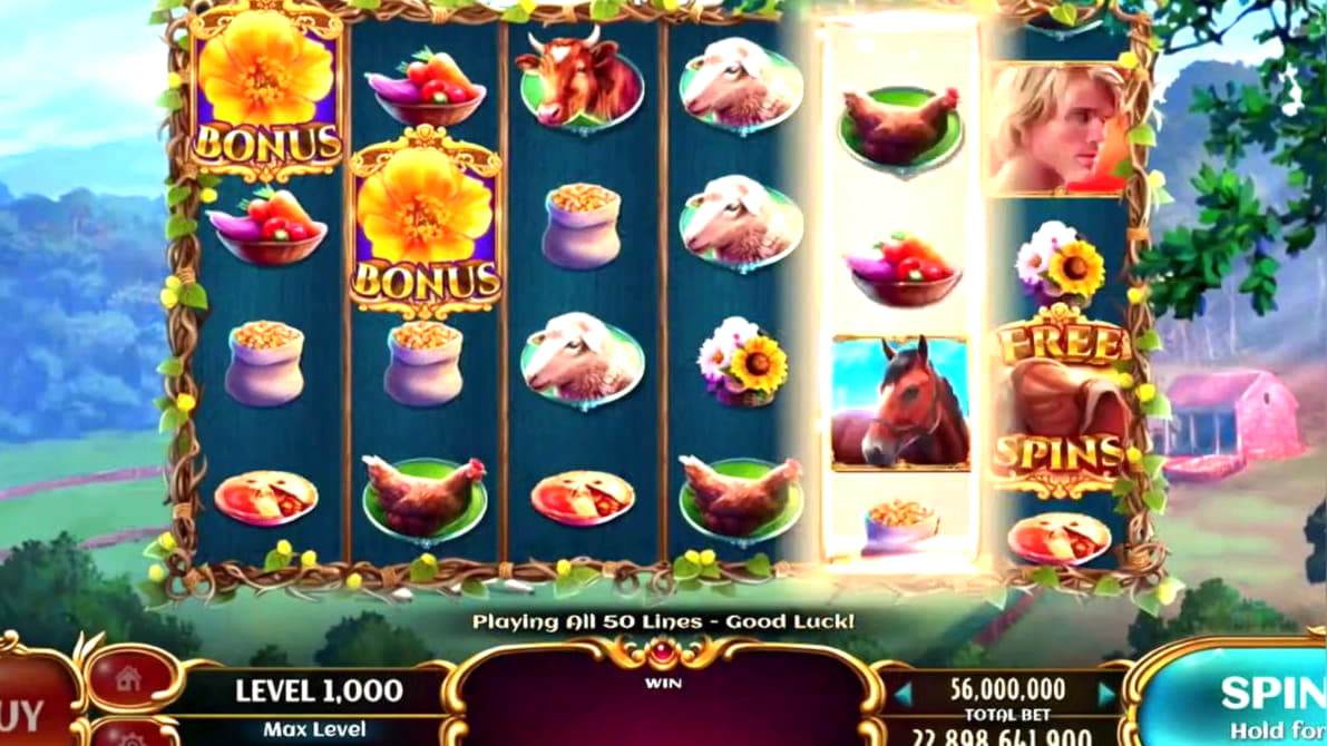€666 Free chip casino at Dunder Casino