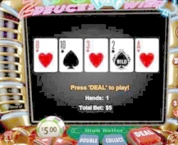 265 Free Spins right now at Casino Cruise