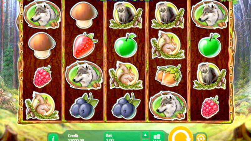 600% Casino match bonus at Betnspin Casino