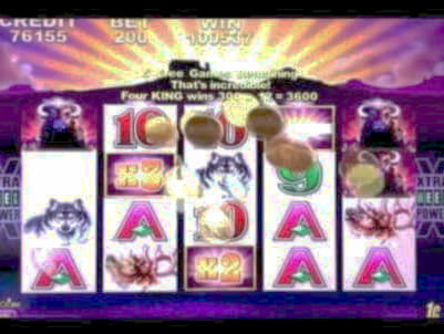 295% Signup Casino Bonus at Vera and Jhon Casino