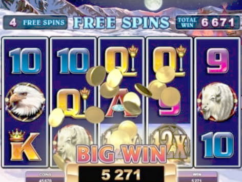 310% Match Bonus at Hippozino Casino