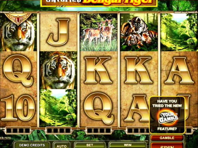 €560 free chip at Spin Palace Casino