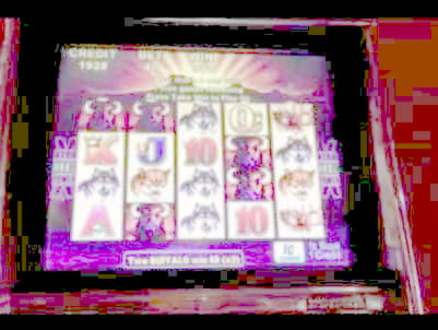 550% casino match bonus at Leo Dubai Casino