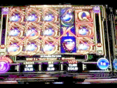 240 Free Spins no deposit at Hippozino Casino