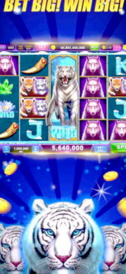 €465 Casino tournaments freeroll at Hippozino Casino