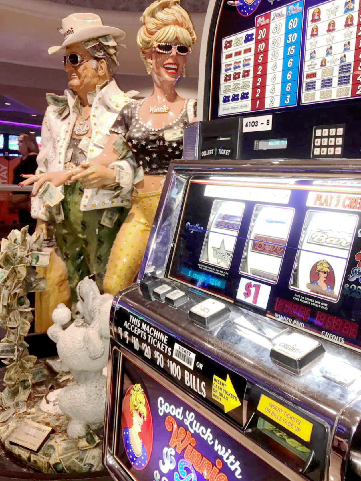 295 free spins casino at Hippozino Casino