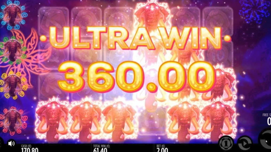 15 Free spins no deposit at Casino Cruise