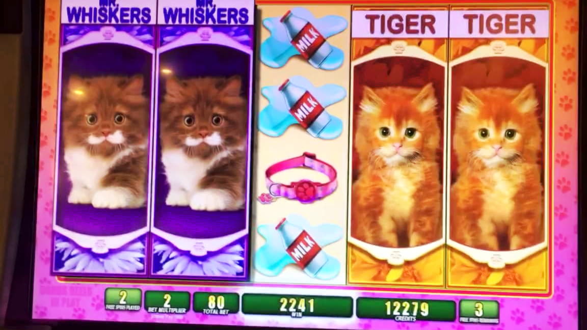 ﻿$180 Daily freeroll slot tournament at Betnspin Casino