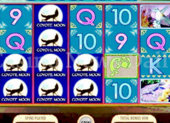 $340 Casino tournaments freeroll at Casino Cruise