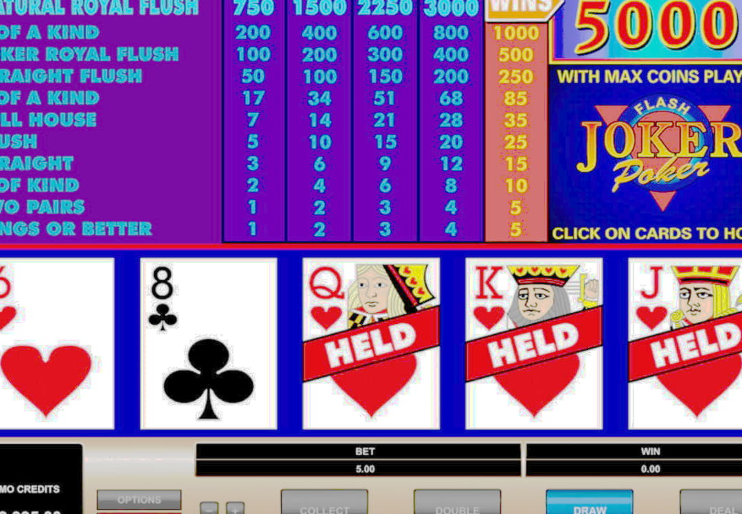 EURO 465 Casino tournaments freeroll at Rizk Casino
