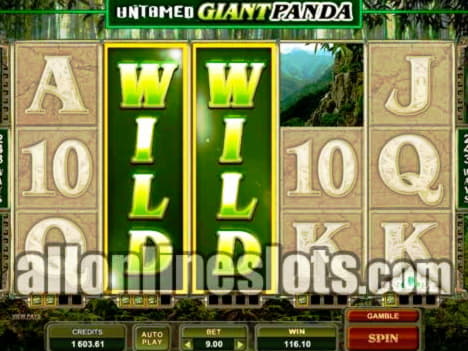 145% Best signup bonus casino at Europa Casino