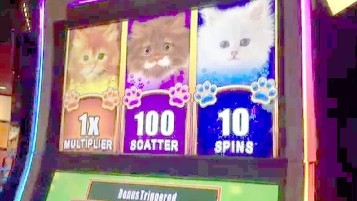 ﻿$595 FREE Chip Casino at Hippozino Casino