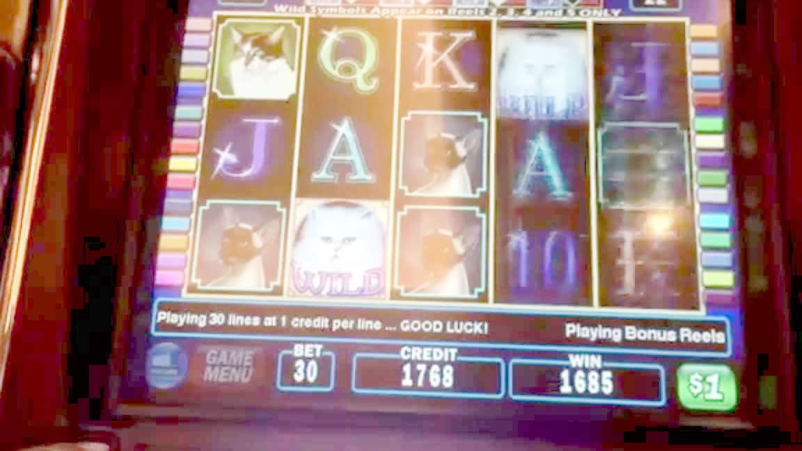 160 FREE SPINS at Dunder Casino
