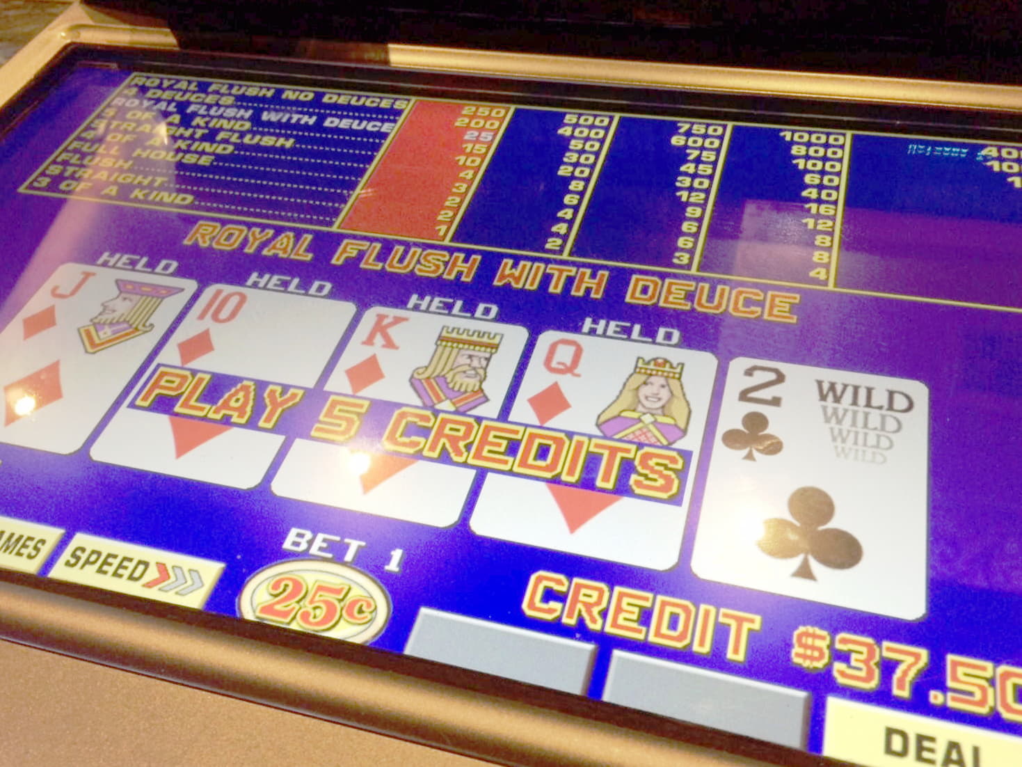 EUR 88 Free Chip Casino at Casino Luck