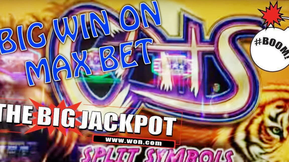 £855 Tournament at 7 Reels Casino