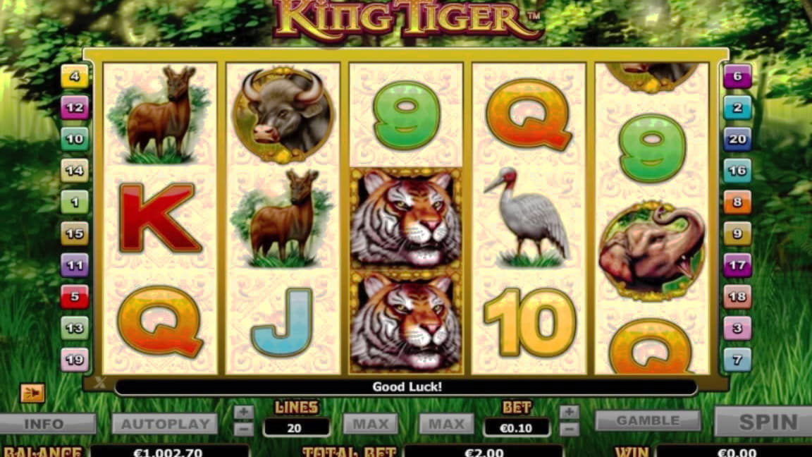 Eur 515 Free Casino Tournament at Hippozino Casino