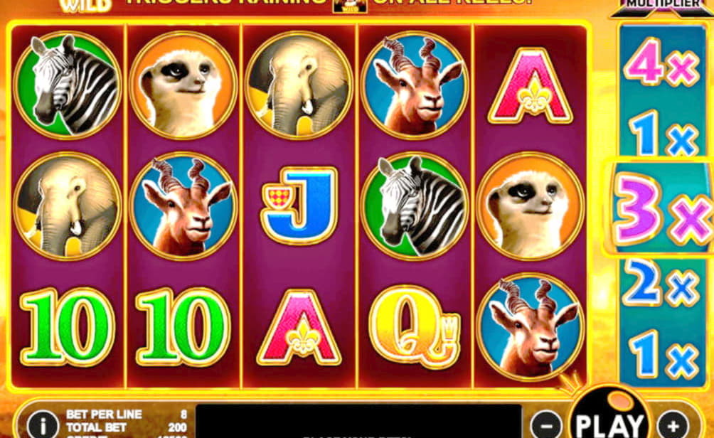 €30 Daily freeroll slot tournament at Leo Dubai Casino