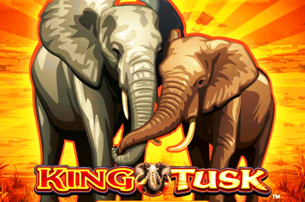 $80 NO DEPOSIT BONUS at BGO Casino