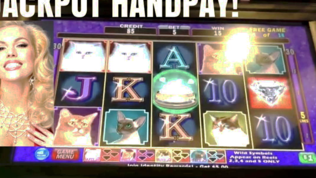 ﻿$470 Free Chip at Vera and Jhon Casino