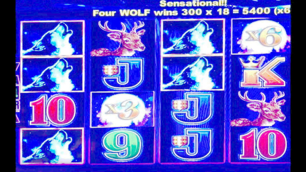 235 Free spins casino at Eurogrand Casino