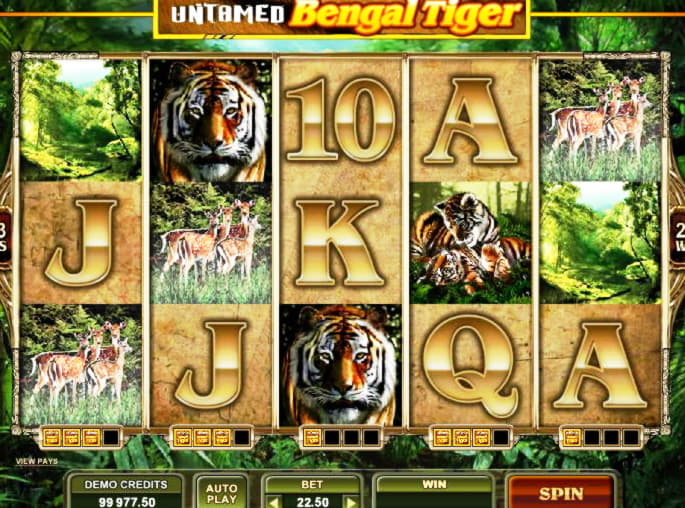 €3435 No Deposit Bonus at Leo Dubai Casino