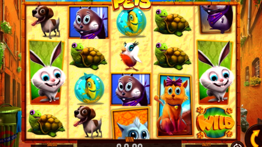 €800 Free Casino Tournament at Hippozino Casino