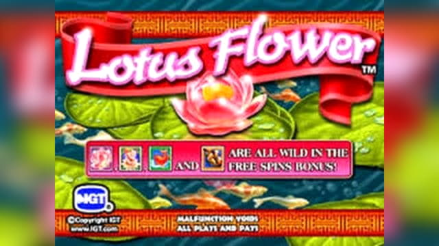 250 Free Spins at Spin Palace Casino