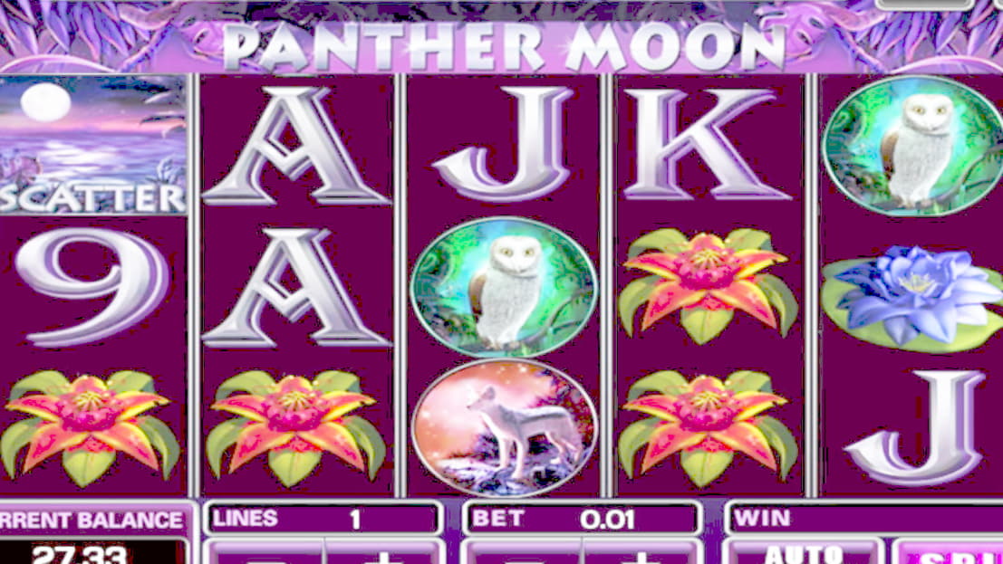 245 free spins casino at Leo Dubai Casino