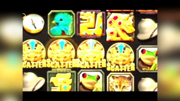 295 FREE SPINS at Dunder Casino
